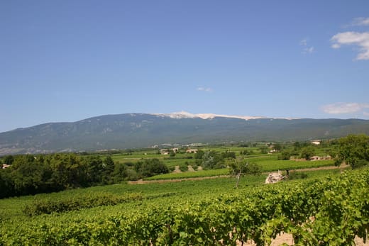 Le mont Ventoux dominant la plaine du Comtat depuis Carpentras — photo d'illustration